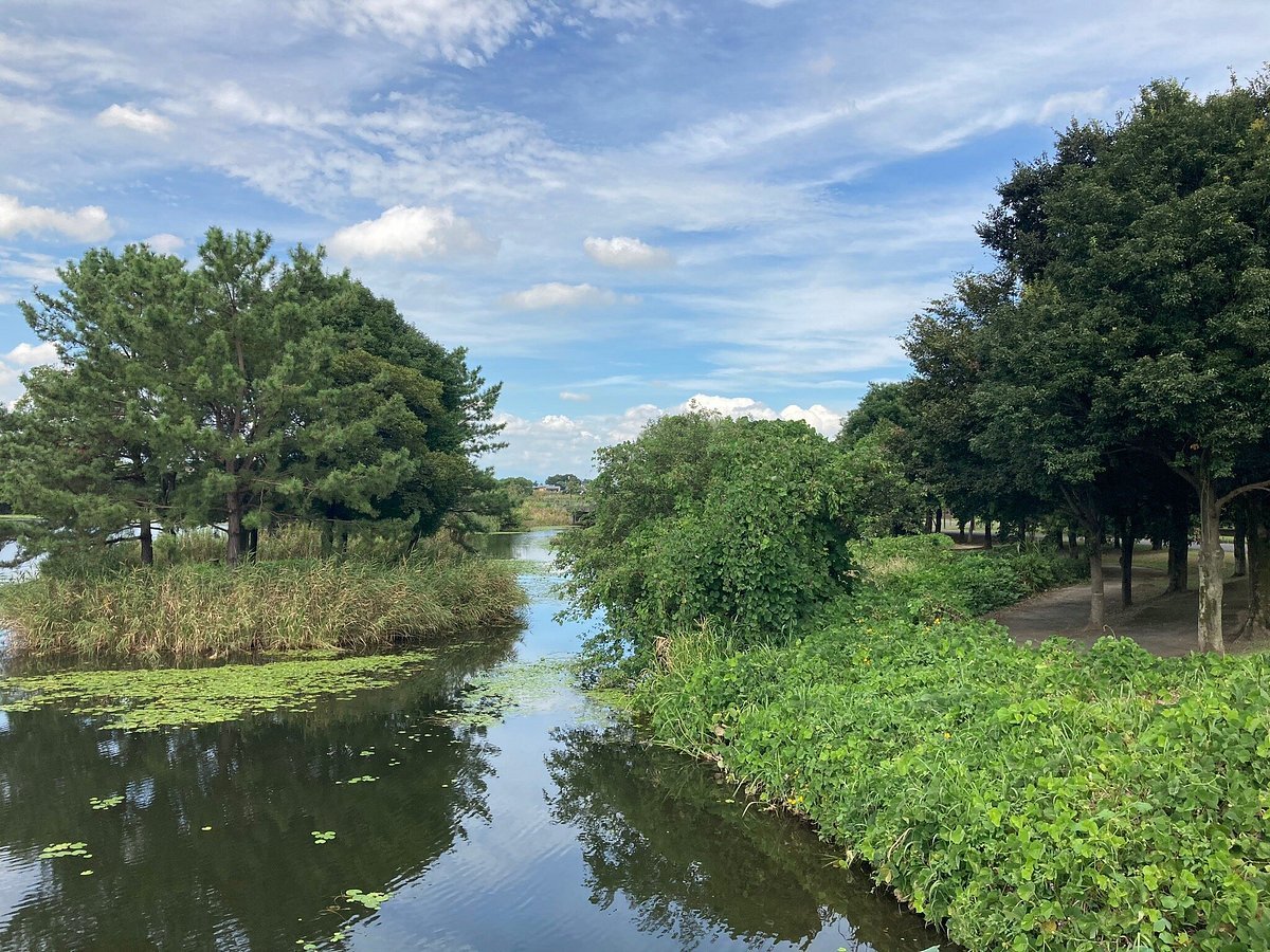 🏞️ 하뉴 수향 공원 이미지 6